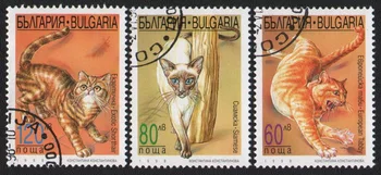 3Pcs/Set Bulgária Selos De 1998 Gatos de Estimação Pós Marcado Selos Postais para a Coleta de