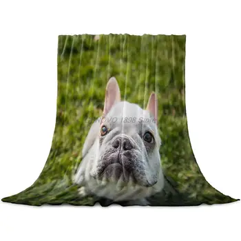 Velo Jogar Cobertor de Tamanho Completo, Bonito Animal Cachorro na Grama Leve Flanela Mantas para Sofá Cama, Sala de estar, Warm Fuzzy